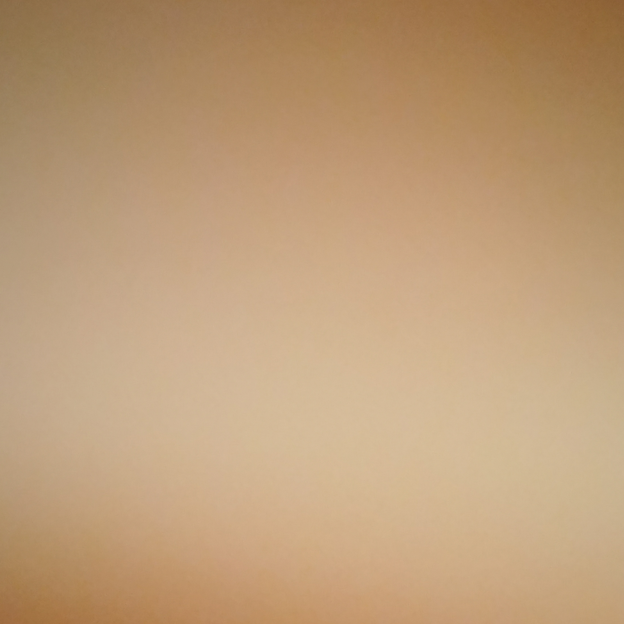 User name 