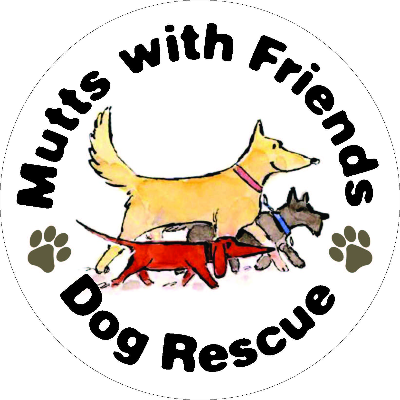 Claire Good (muttswithfriendsdogrescue) • Raffall